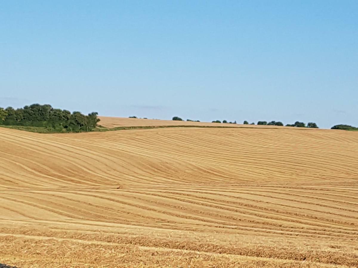 La Grue Gites Mons  Bagian luar foto